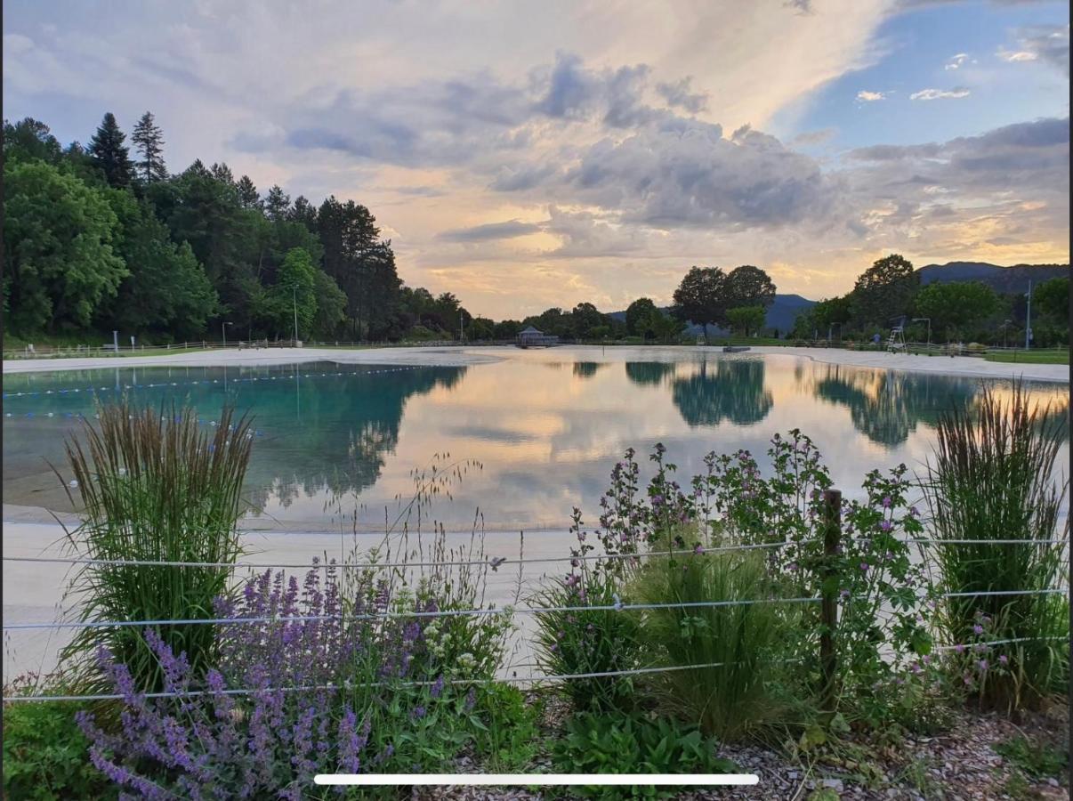 Les Glycines, Charmant Studio Au Calme Dans Batisse De Maitre Proche Du Centre Ville Parking Gratuit Digne-les-Bains Buitenkant foto